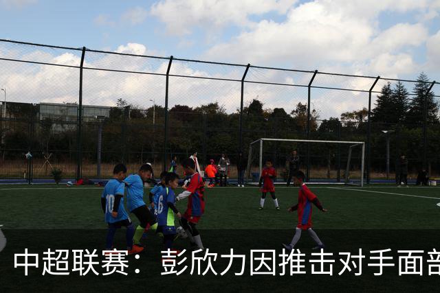 中超联赛：彭欣力因推击对手面部被禁赛4场并罚款