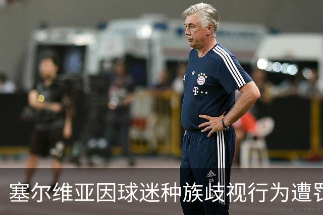 塞尔维亚因球迷种族歧视行为遭罚近14万欧元及空场处罚