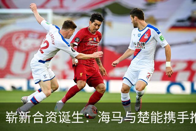 崭新合资诞生：海马与楚能携手推出“楚界”新车企