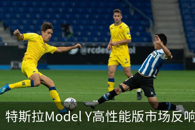 特斯拉Model Y高性能版市场反响如何？